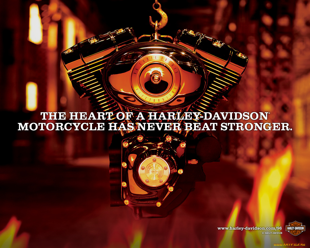 harley, davidson, , , , unknown